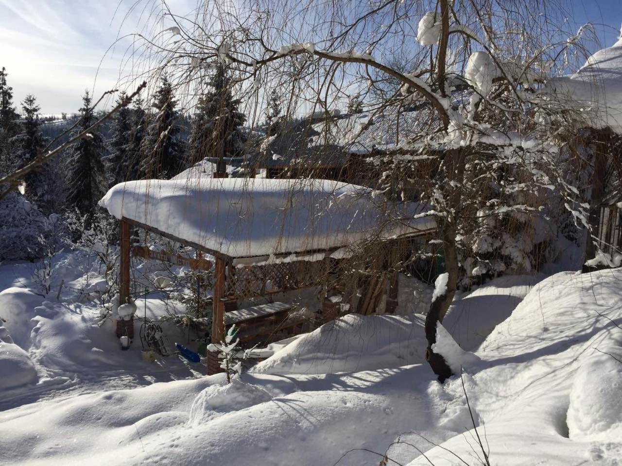 Біла Хижа Verkhne-Studenyy Exterior photo